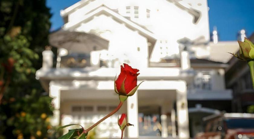 Hoa Sen Vang Hotel Dalat Bagian luar foto